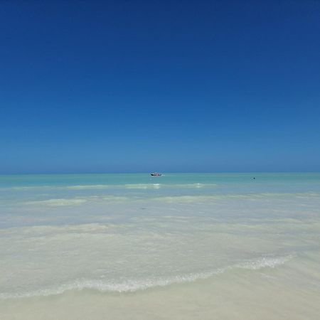 Luna Y Sol Glamping Holbox Exterior foto